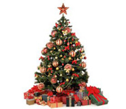 宁夏昱皓软件圣诞主题活动